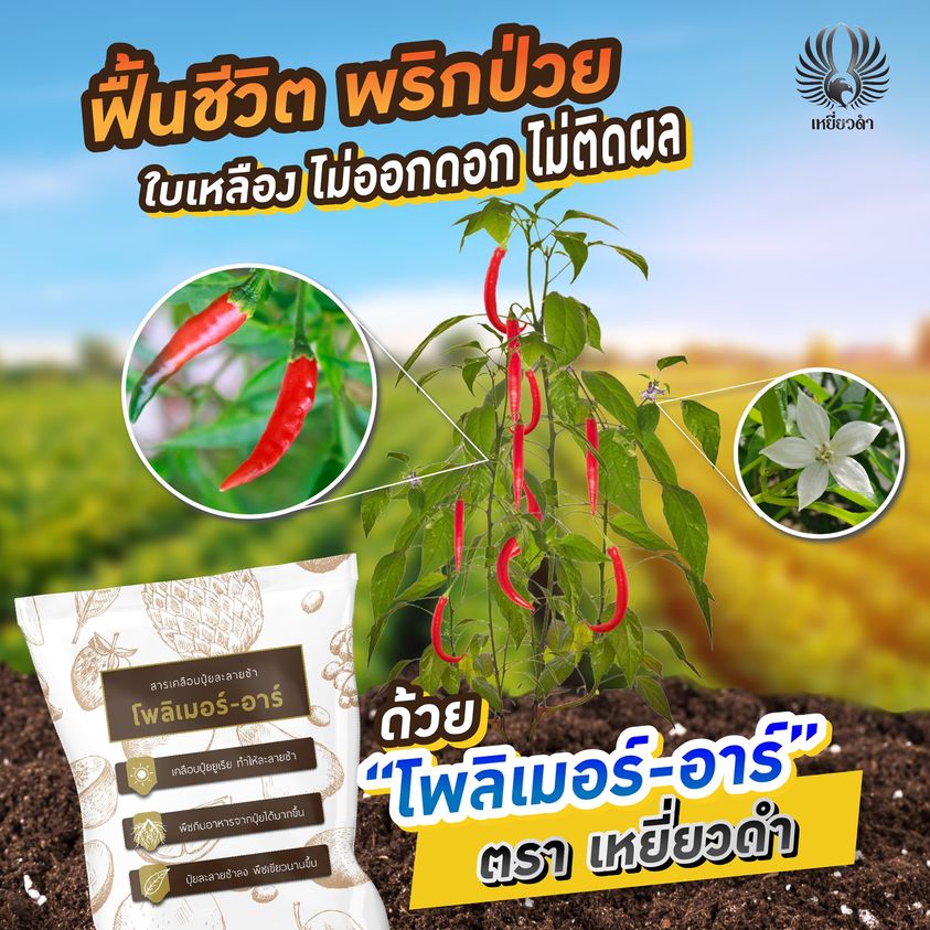 โพลิเมอร์-อาร์